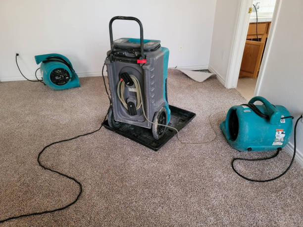Best Professional water damage repair  in Salem, SD