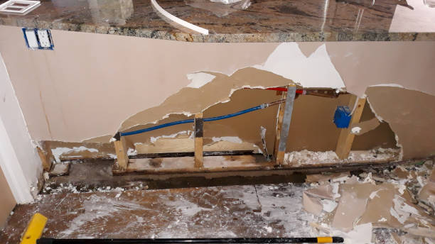 Best Fire Damage Restoration  in Salem, SD