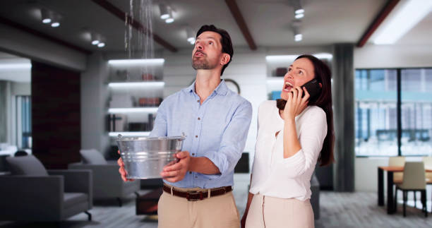 Best Flood restoration services  in Salem, SD